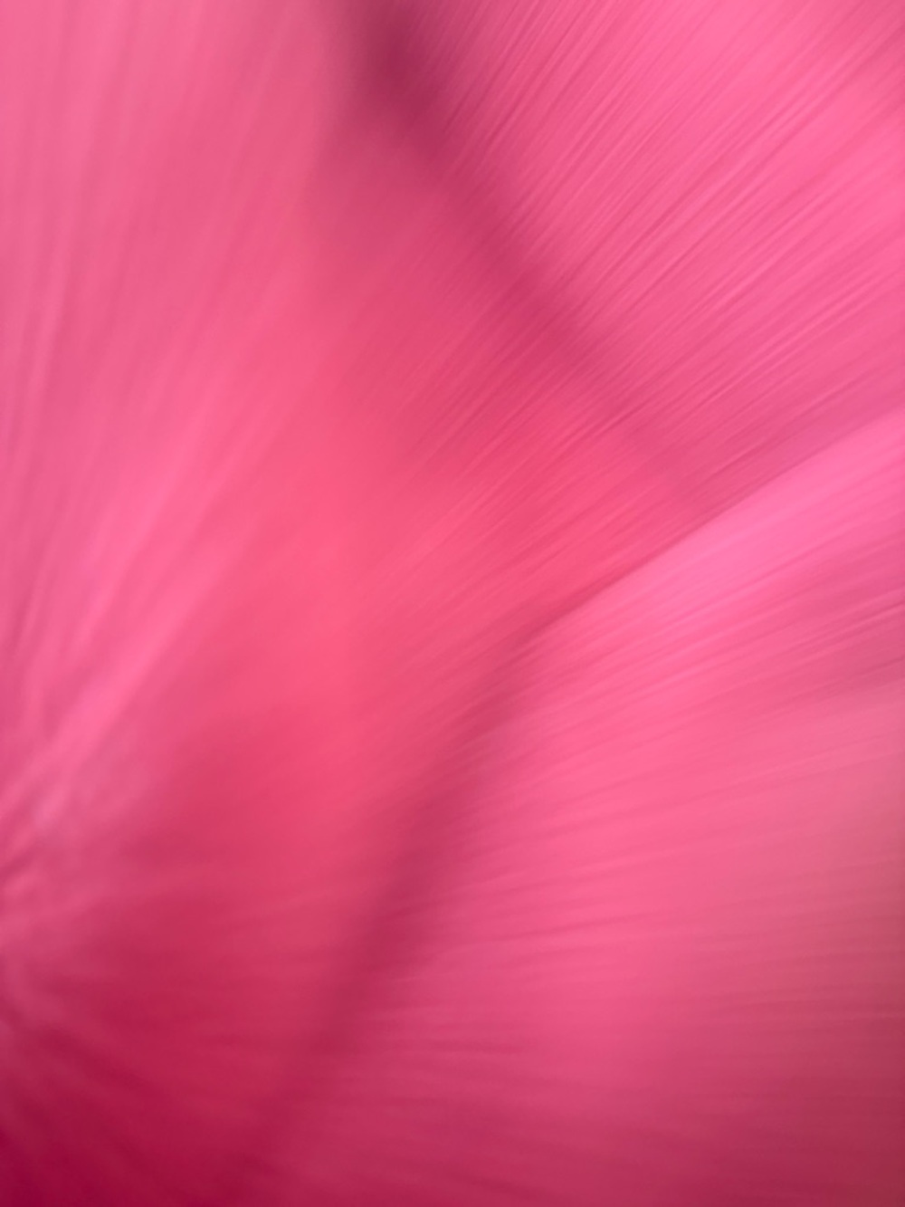 Bright Pink Textured Fabric Piece